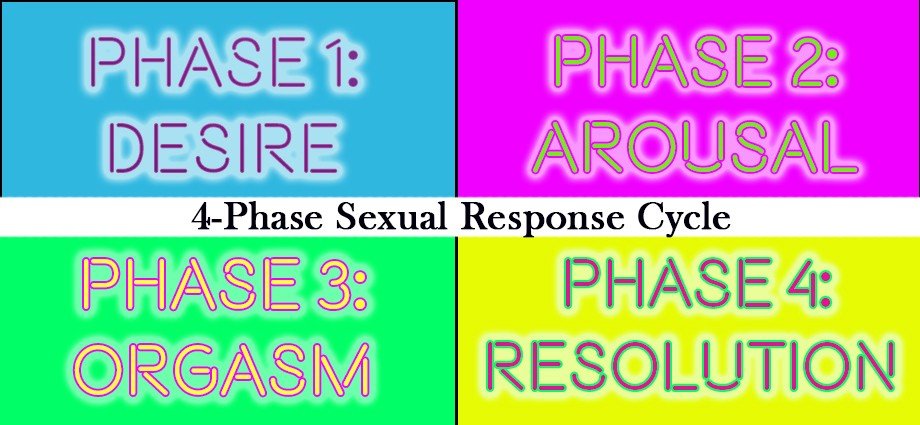 Sexual Response Cycle Thumbnail