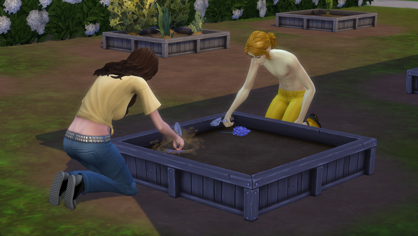 Juniper helps Clover plant some new flowers.