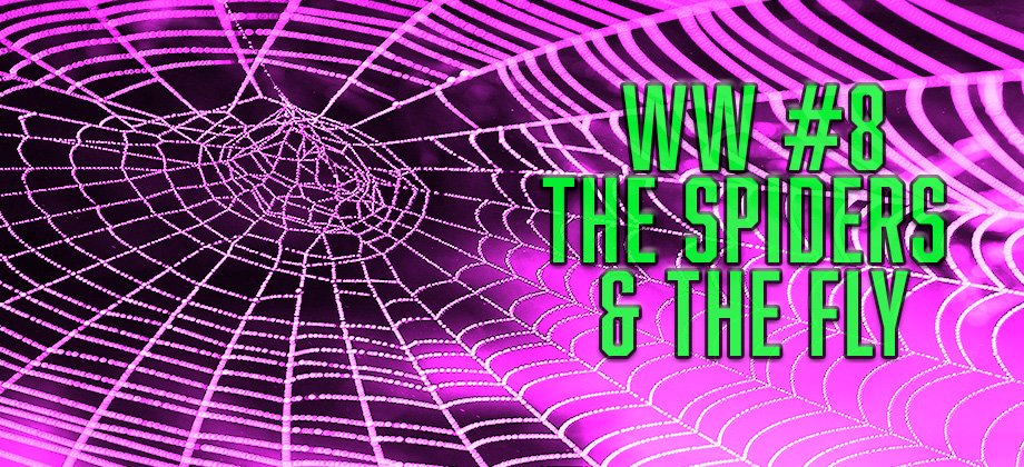 WW #8 The Spiders and the Fly ( F+M+F Twins)